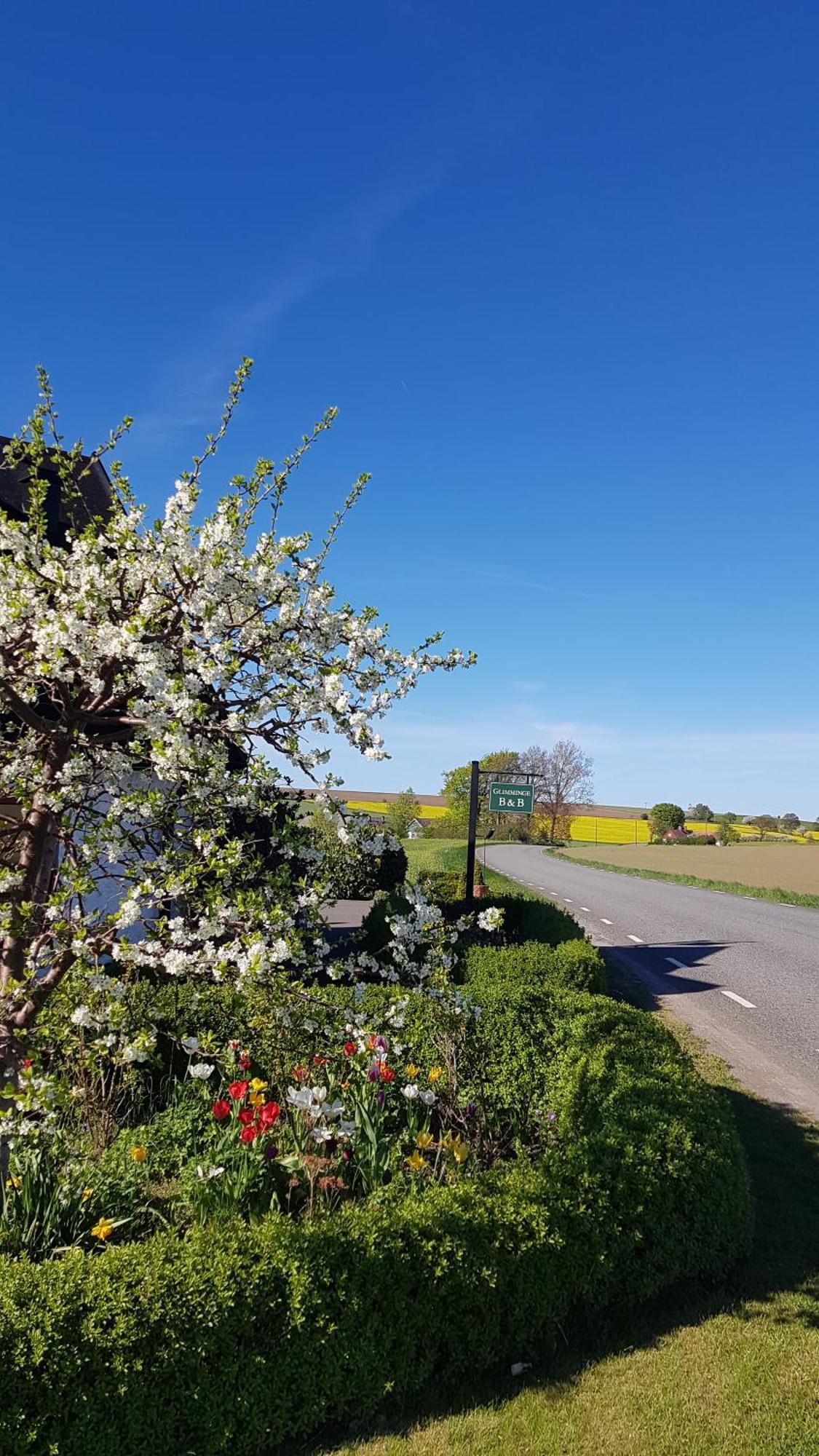 Glimminge Bed & Breakfast Simrishamn Exterior photo