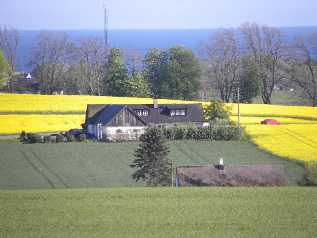 Glimminge Bed & Breakfast Simrishamn Exterior photo
